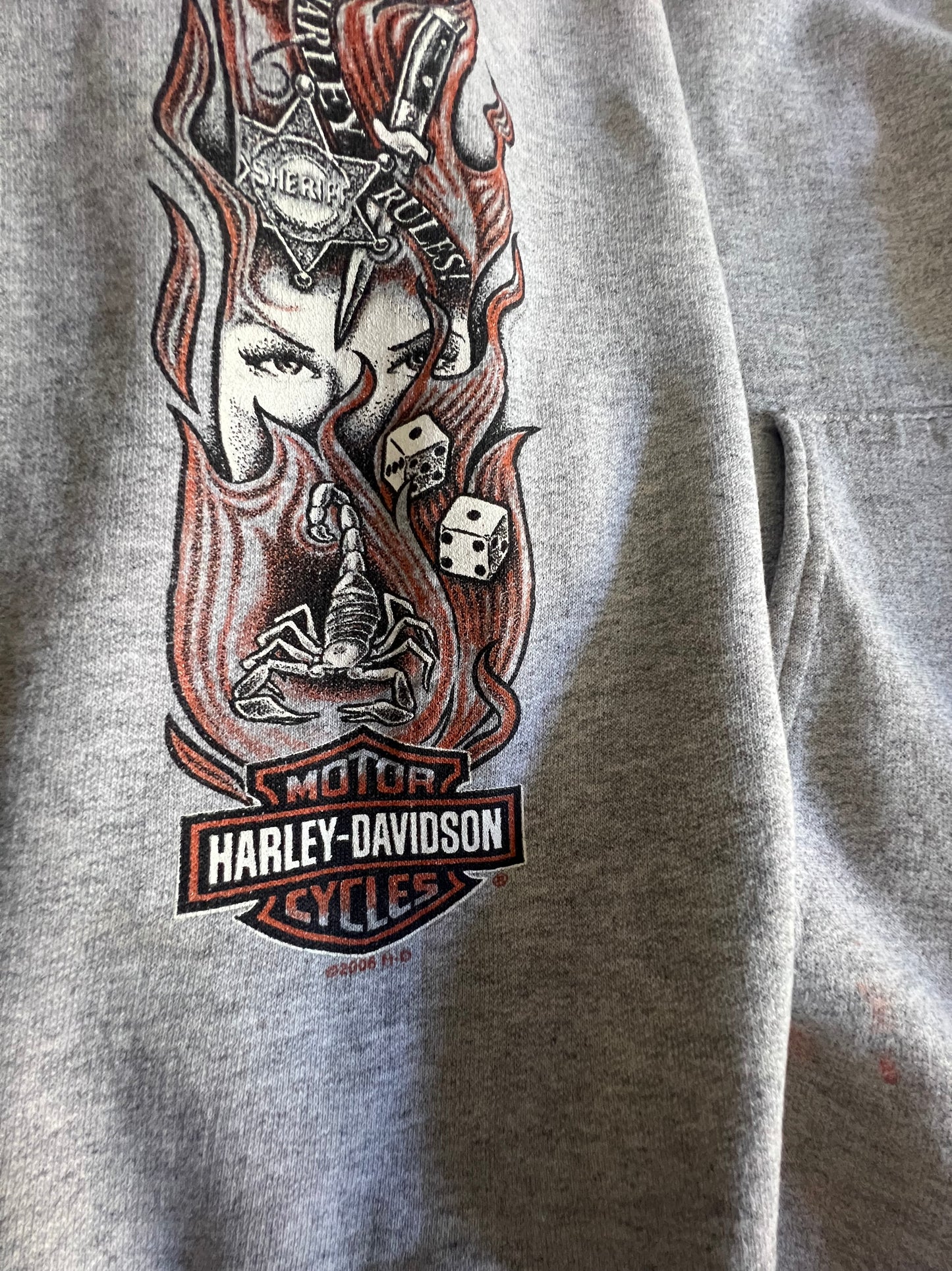 Vintage Heavily Distressed Oversized Harley Davidson Zip Hoodie 3XL