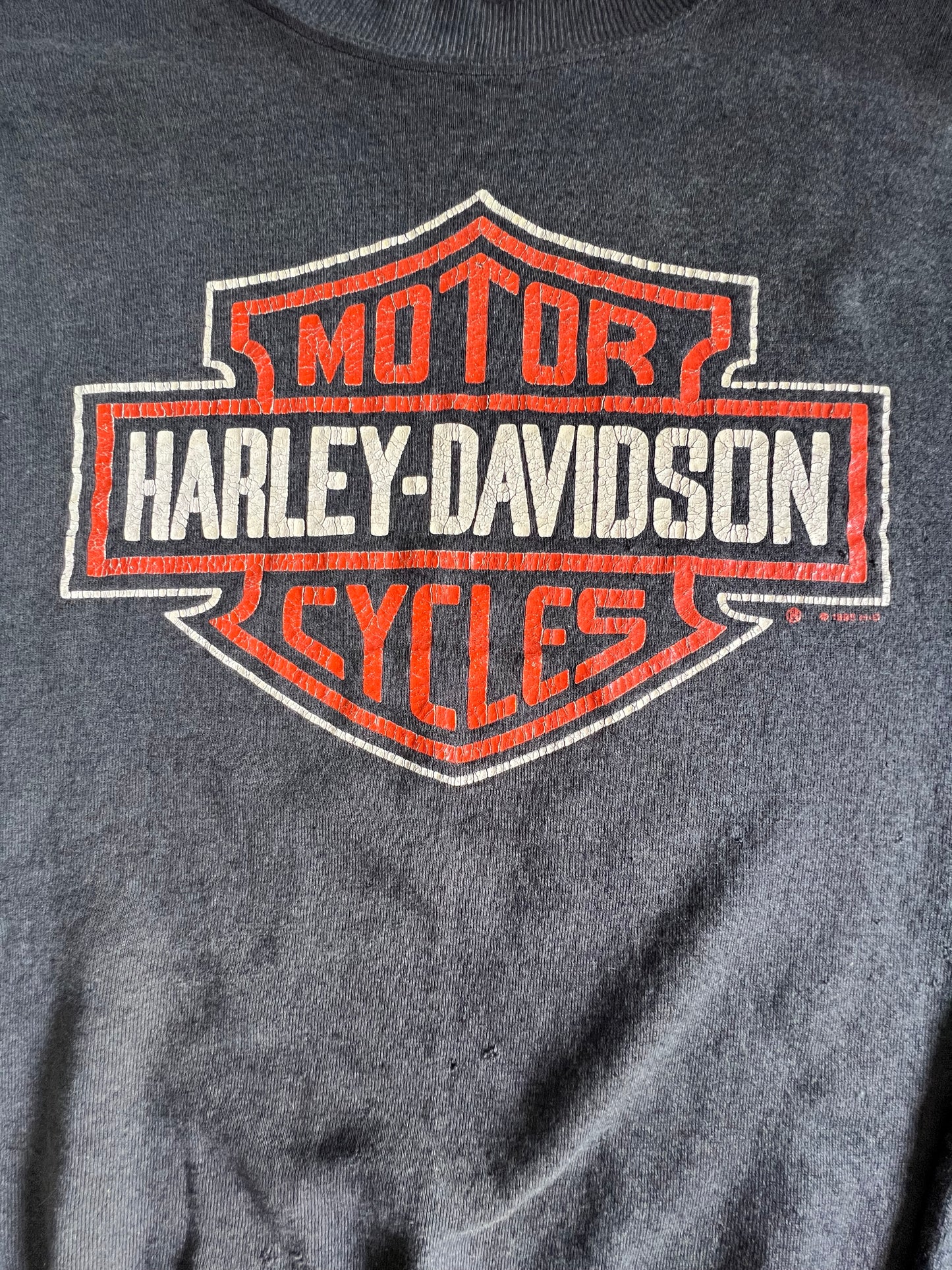 Vintage 80’s/90’s Distressed Harley Logo Sweatshirt Indiana XL