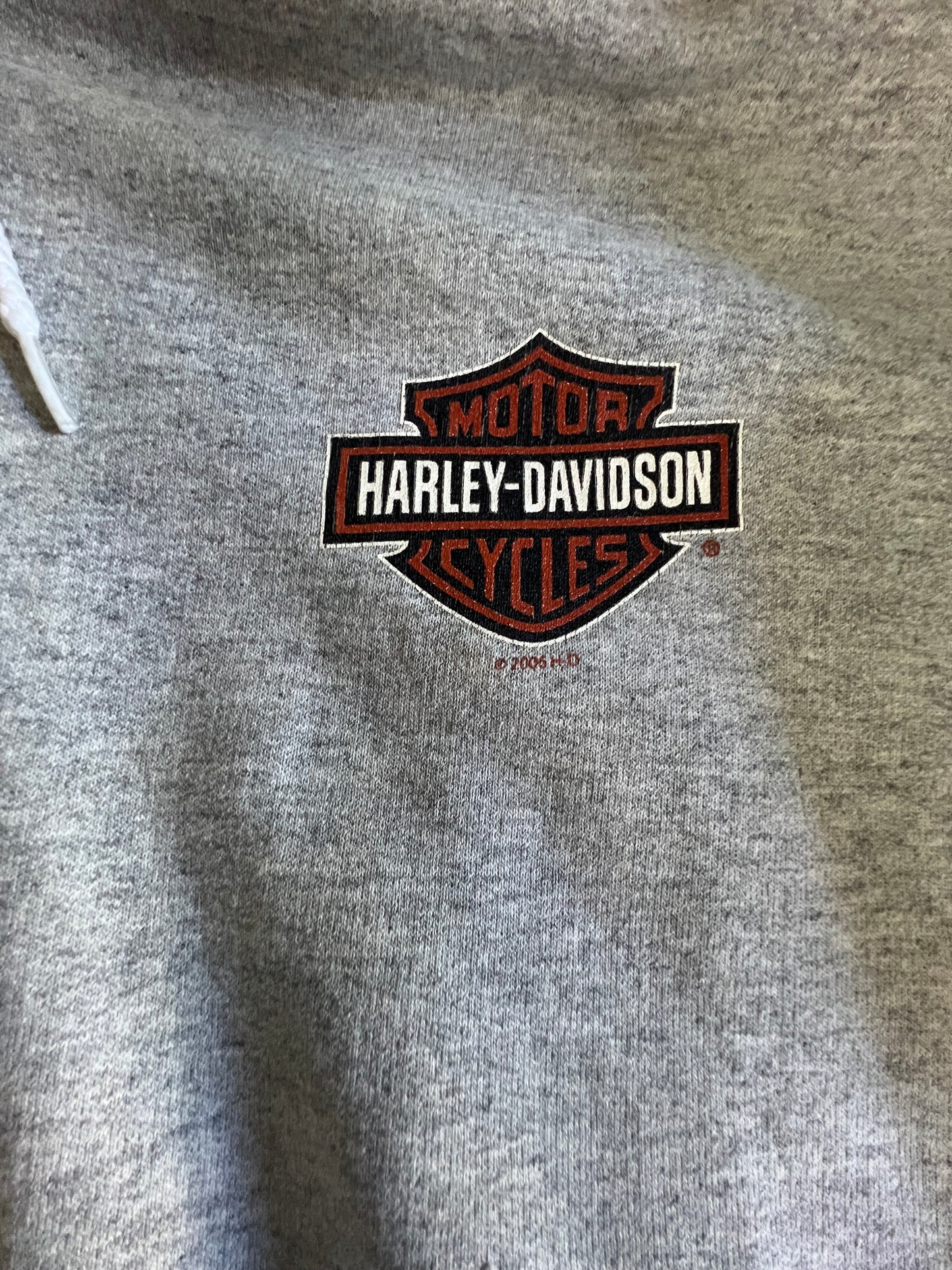 Vintage Heavily Distressed Oversized Harley Davidson Zip Hoodie 3XL