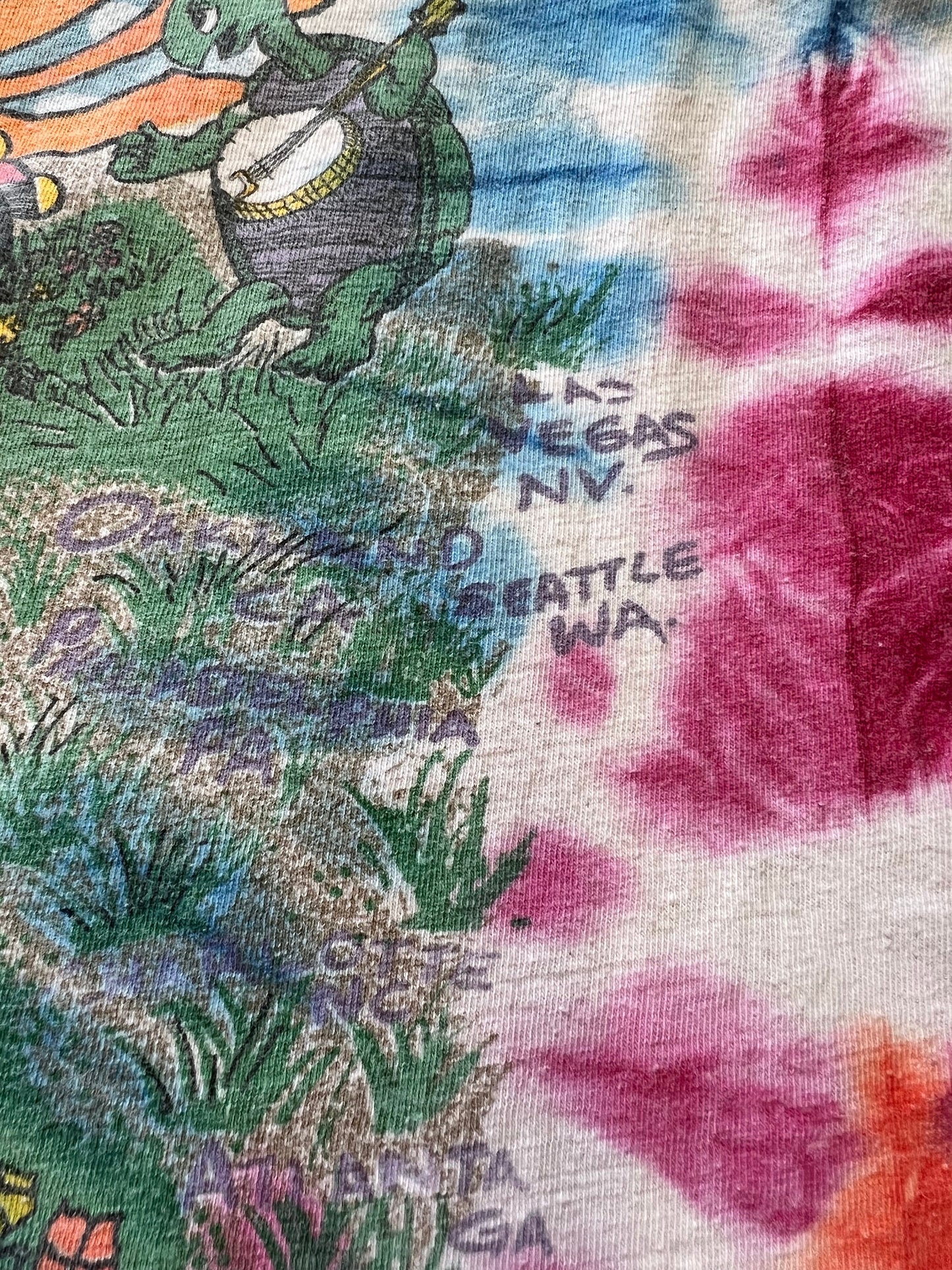Vintage Grateful Dead Spring Tour 95 Shirt