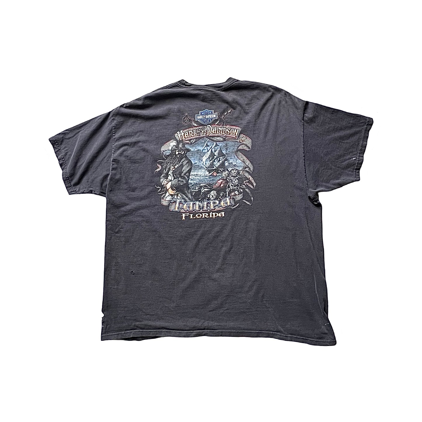 Vintage Thrashed Harley Davidson T-Shirt Tampa, Florida 2XL