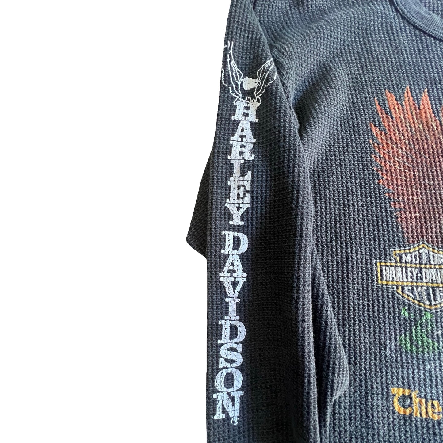 VERY RARE 1978 Harley Davidson The Eagle Has Landed Thermal XXL
