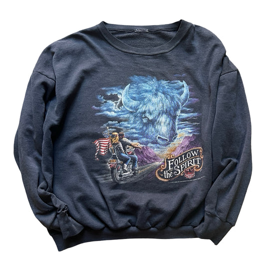 Vintage 1992 Harley Davidson Daytona Bike Week 1994 Sweatshirt Worn To Perfection XL