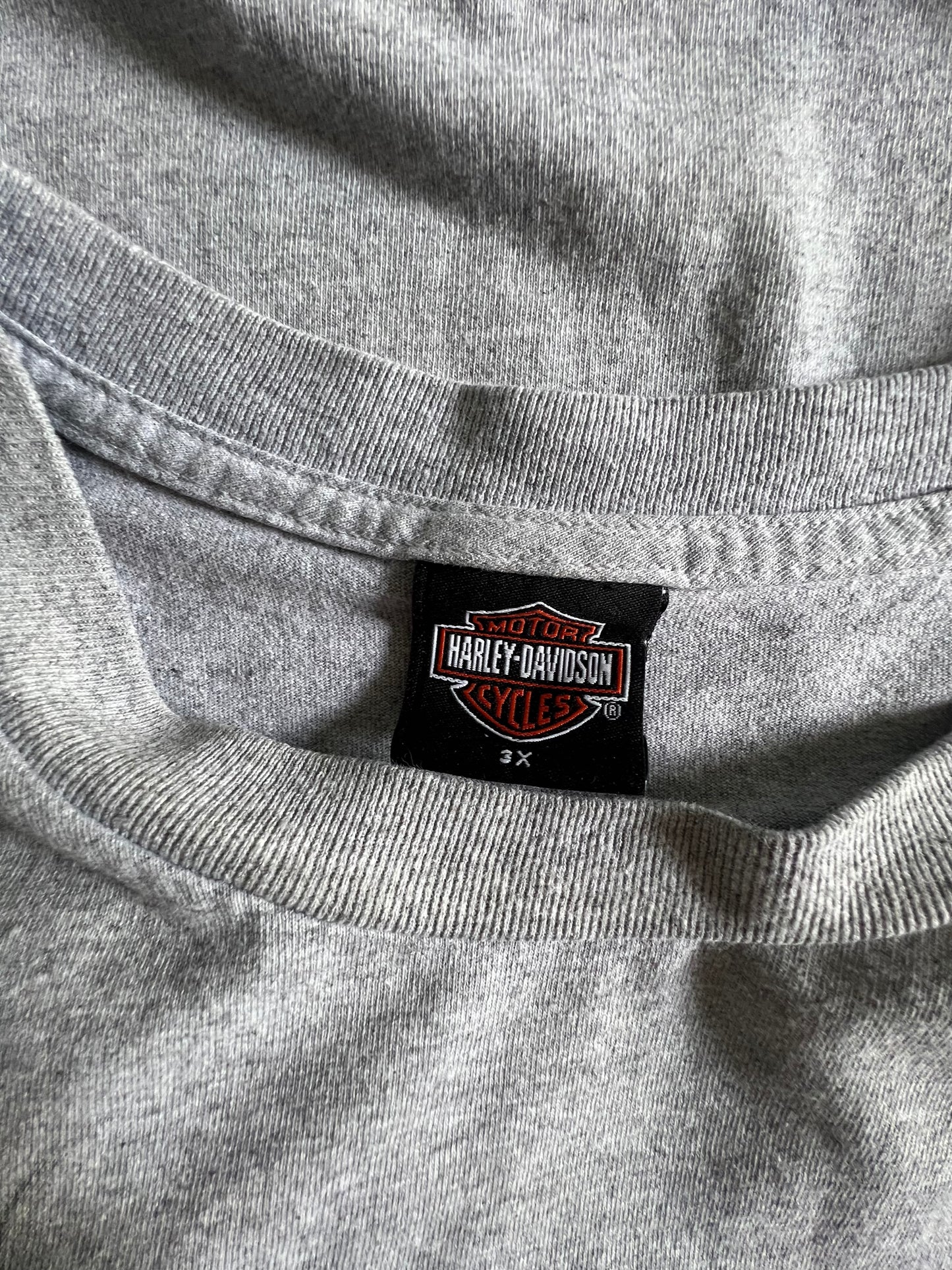 Vintage 2006 Harley Davidson Oversized Eagle Tee 3XL