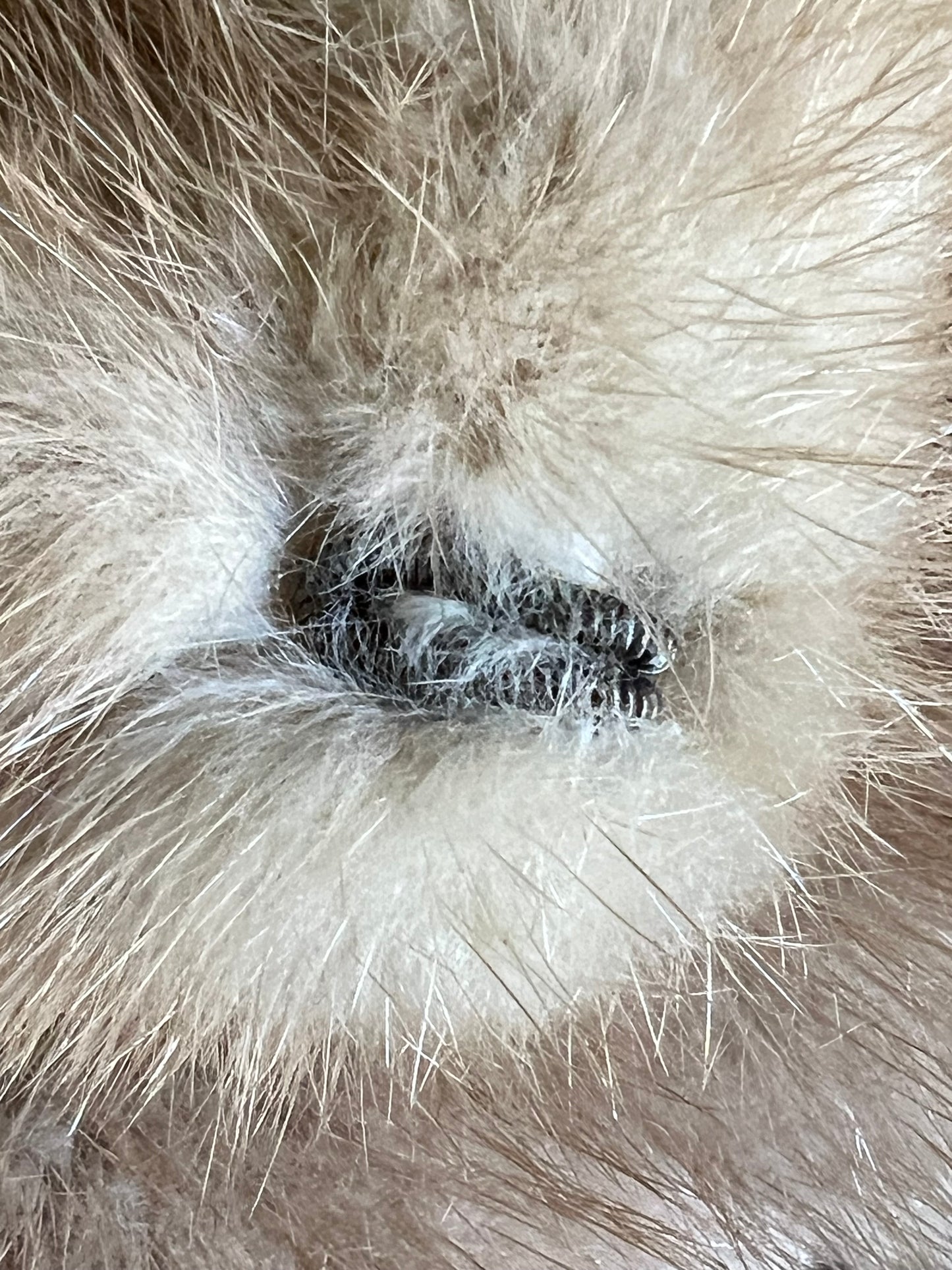 Vintage Hinshaw’s Arcadia Oversized Fur Stole