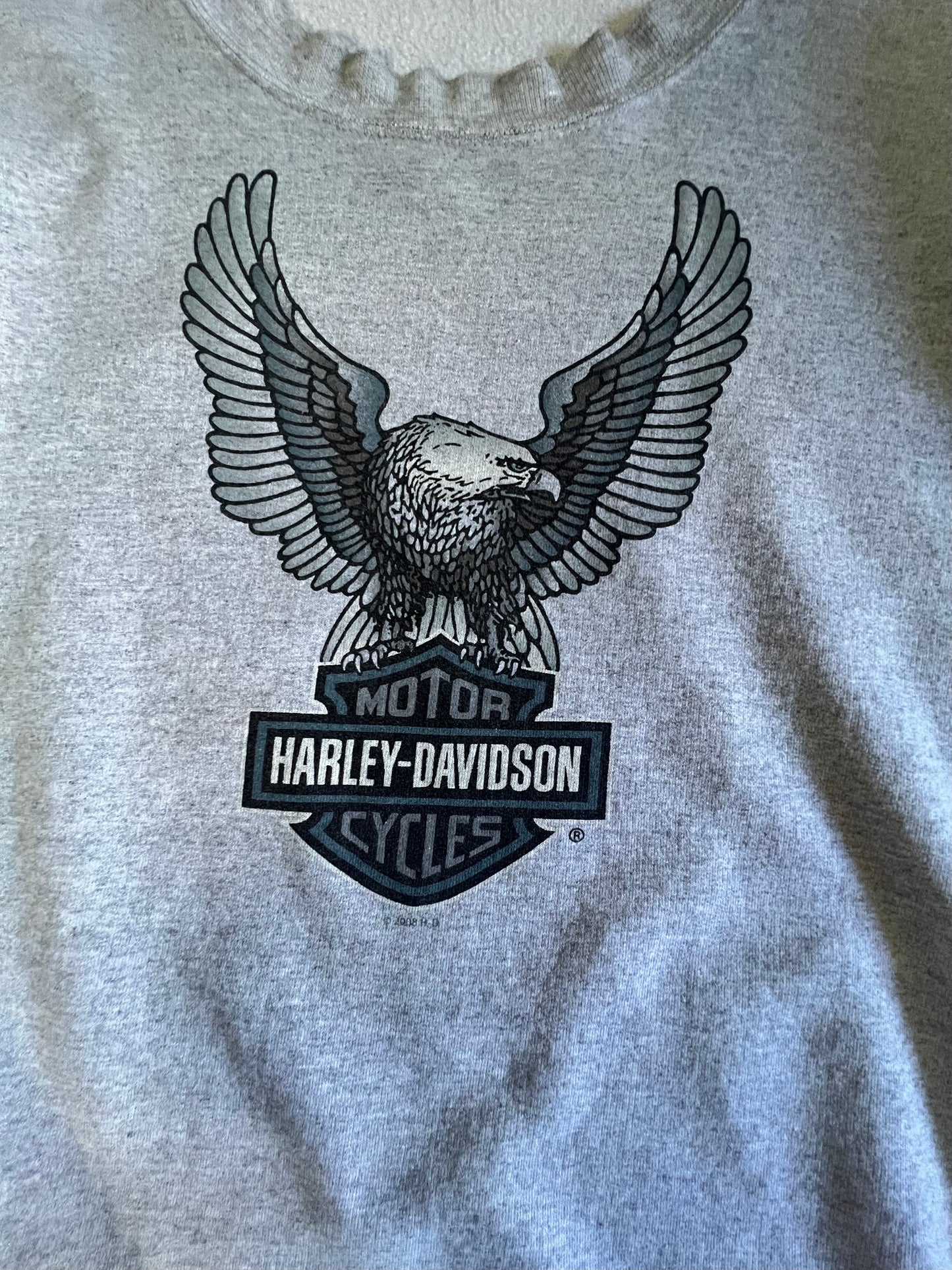Vintage Oversized Distressed 2008 Harley Sweatshirt Indiana Hoosier Soft & Thin XXL