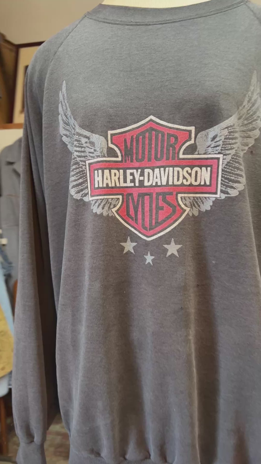 Rare Vintage 1980's Harley Davidson Double Sided Raglan